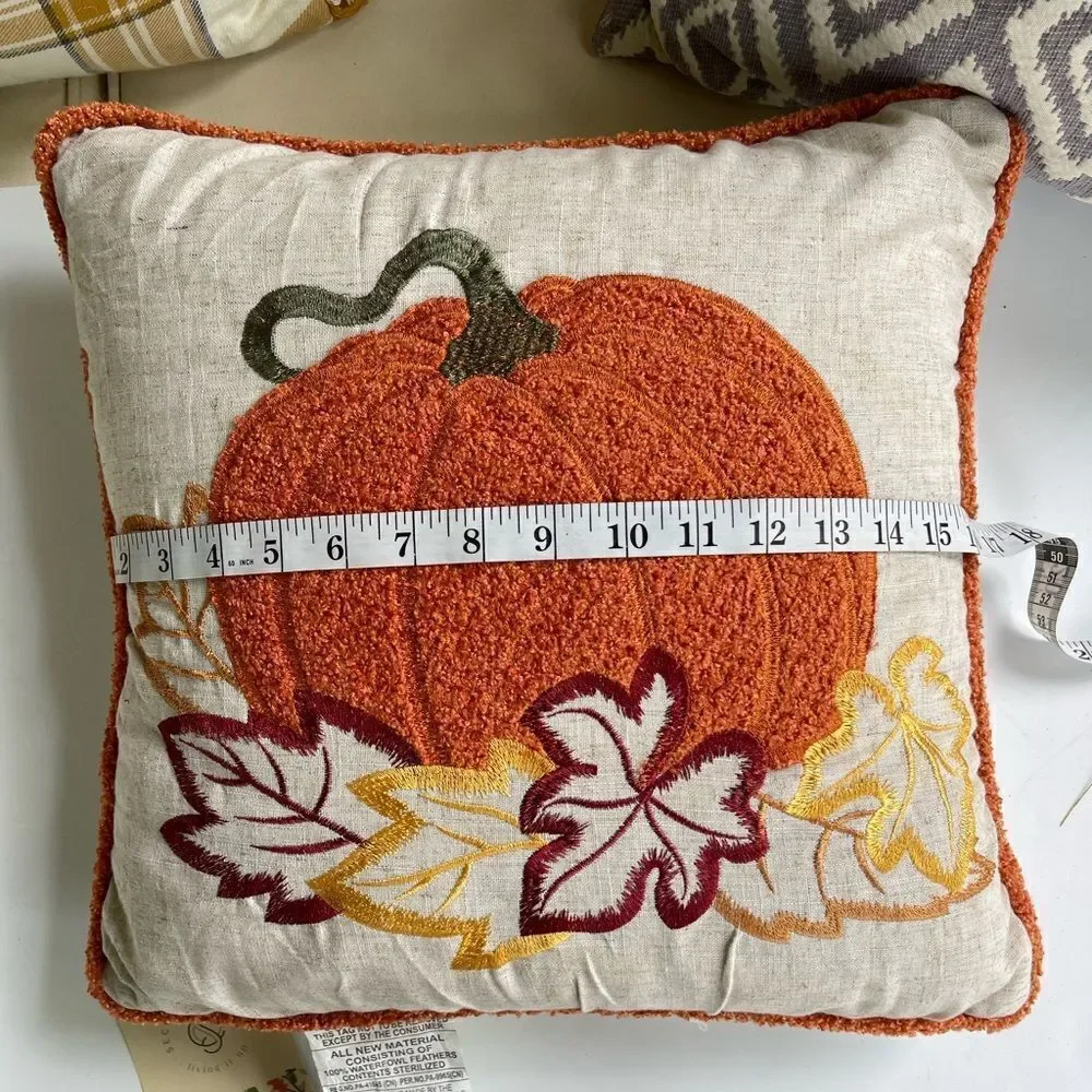 Secret Celebrity | Natural Autumn Pumpkin Throw Pillow NWT